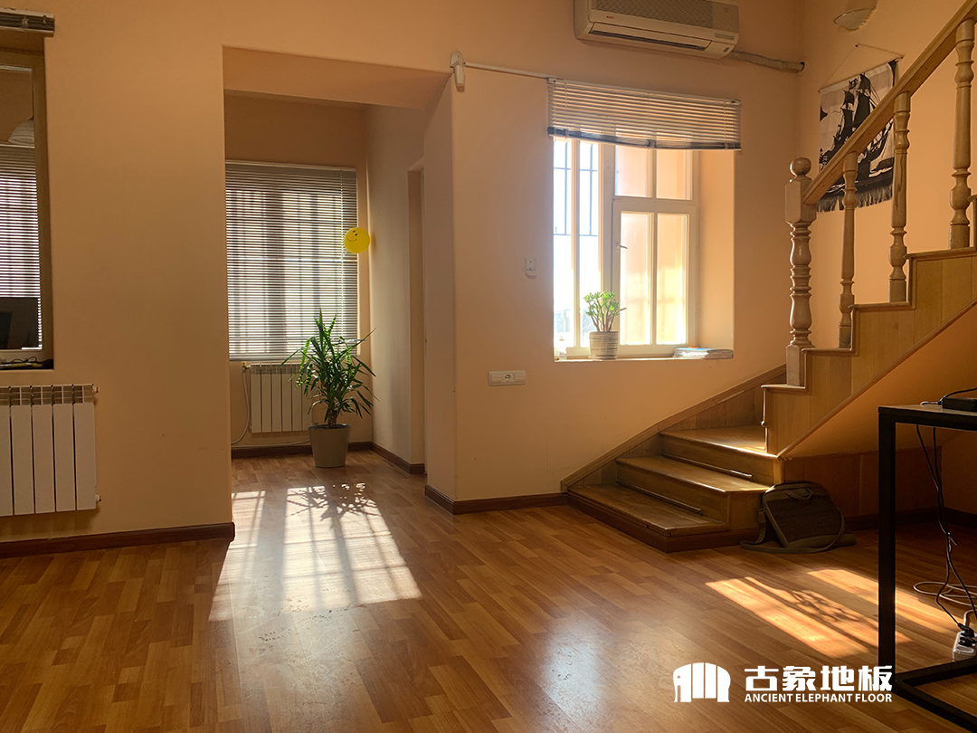 橡木地板 vs 圆盘豆地板：哪个更适合你的家装