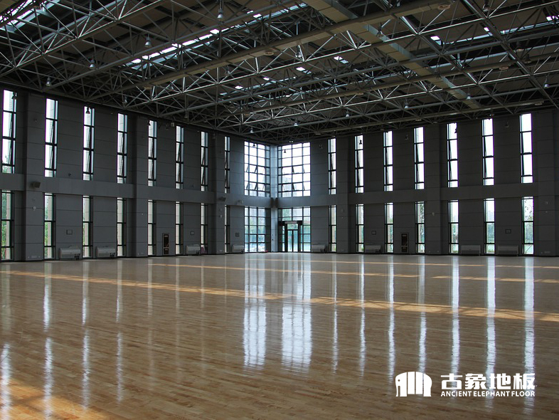 体育馆木地板