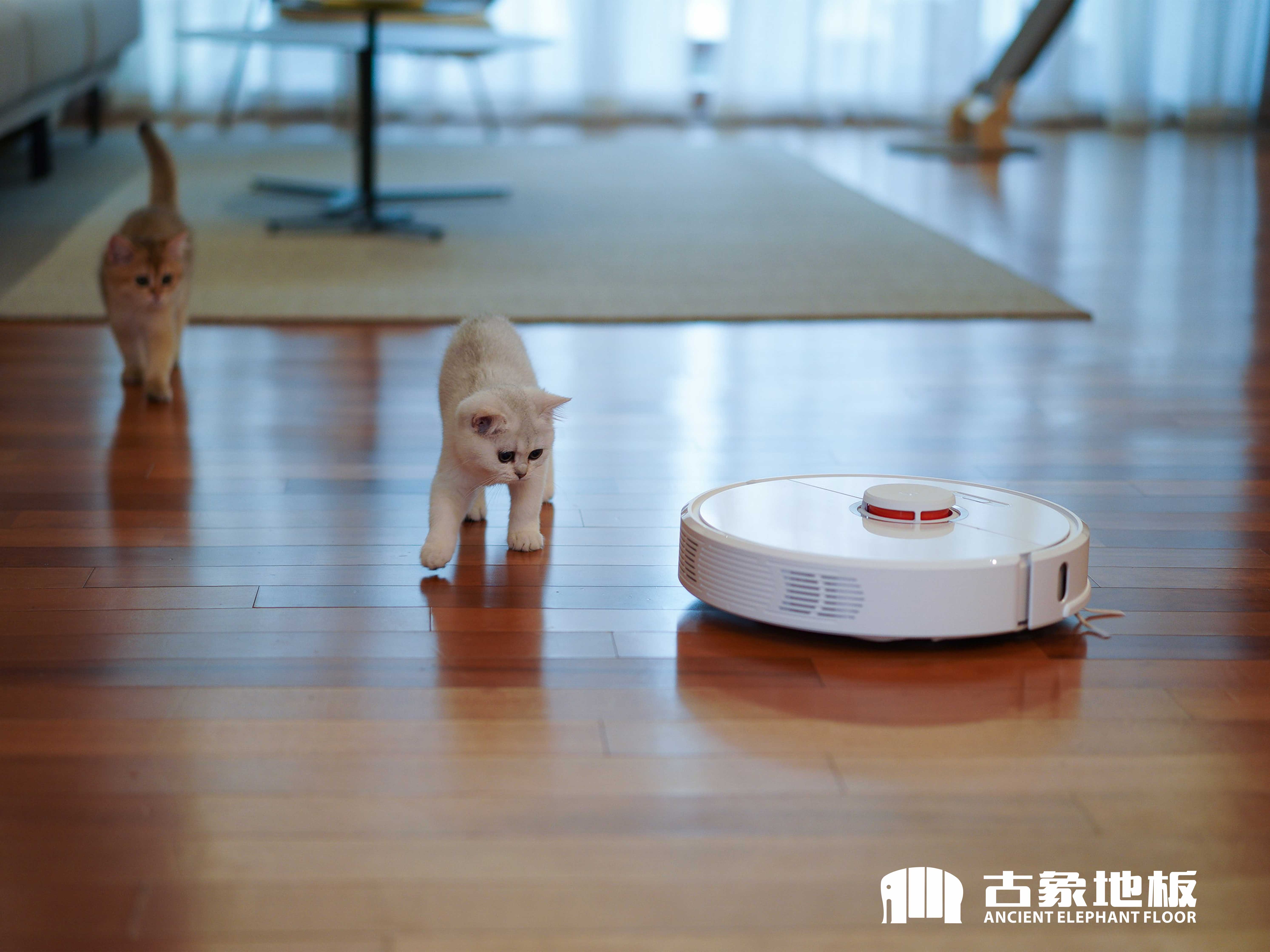 有地暖的房子铺木地板好还是瓷砖好