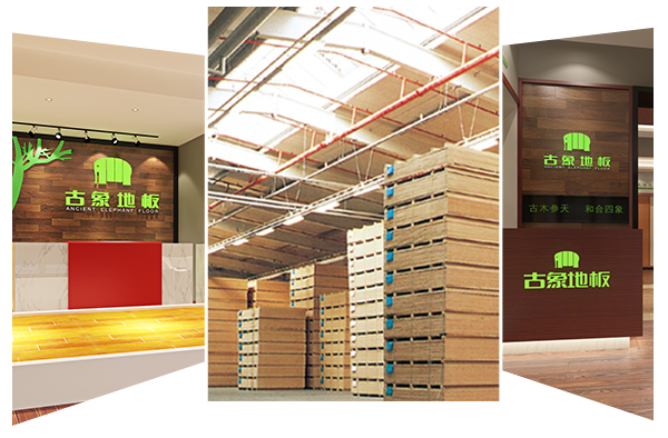 自有工厂，创新研发