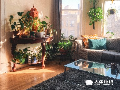 如何清洁实木地板的好搭档——地毯