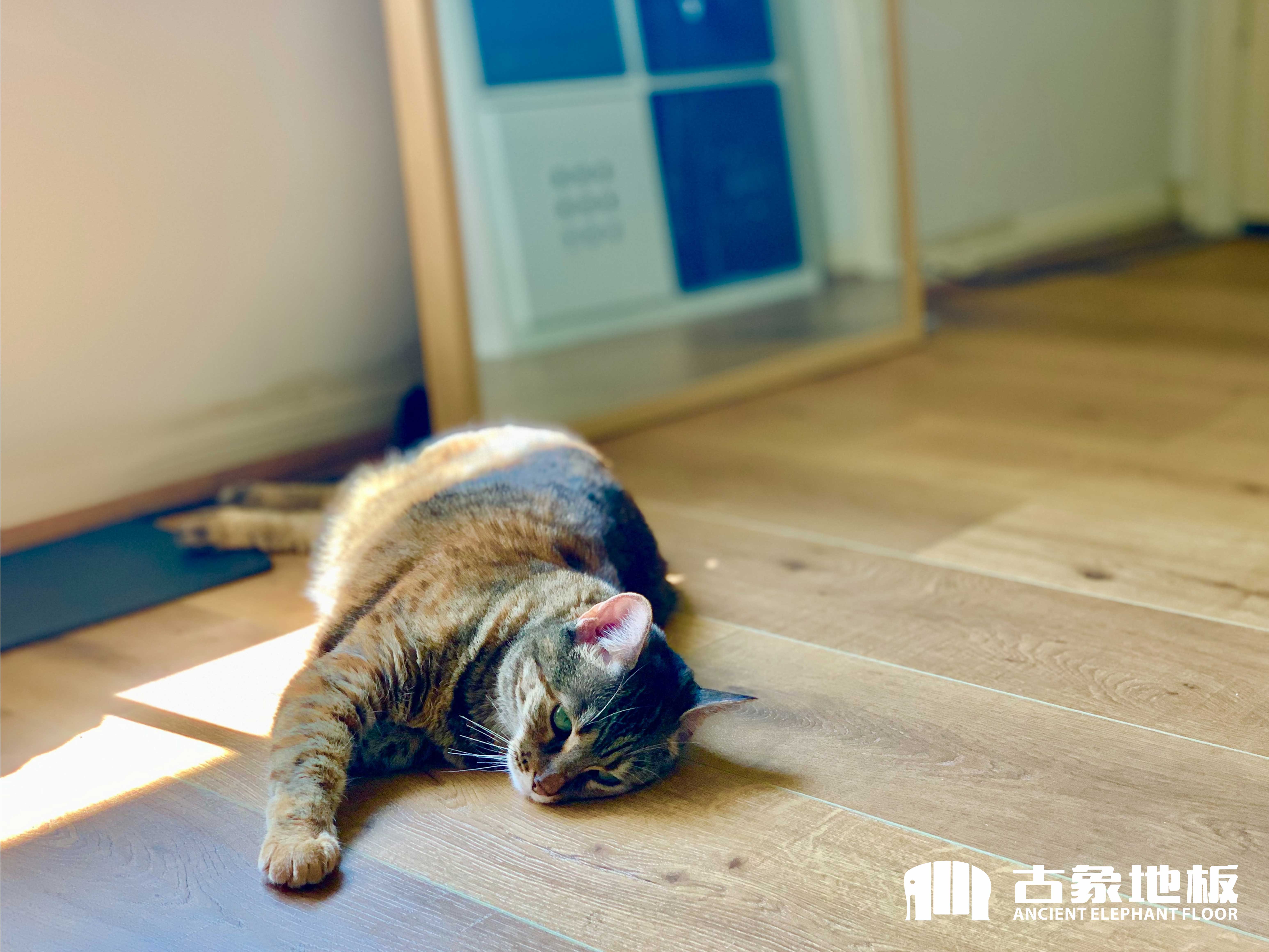 新三层实木地板为什么有响声