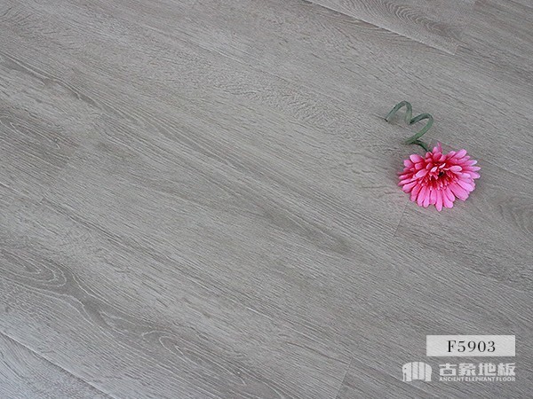 古象强化地板·欧洲灰橡F5903 强化地板