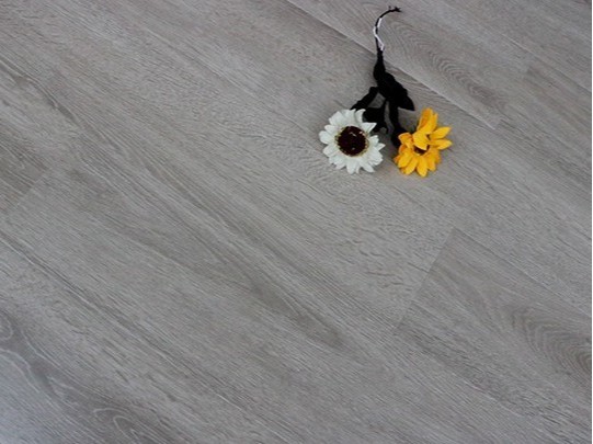 古象强化地板·欧洲灰橡F5903 强化地板