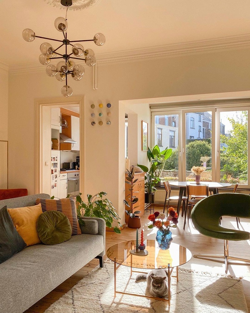 明媚的阳光透过窗户照射进来