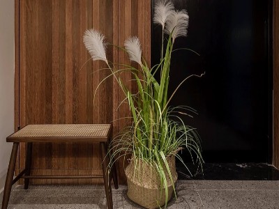 古象地板打造的简约之家