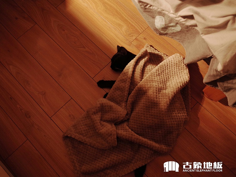 宠物尿液也具有酸碱性