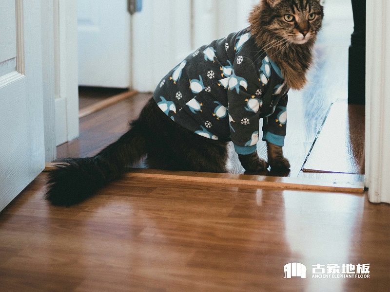 在温度胀缩作用下翘起的实木地板