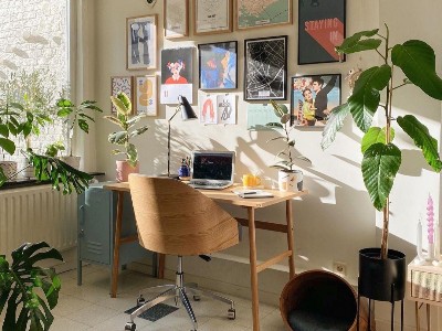 实木地板为什么越来越受欢迎